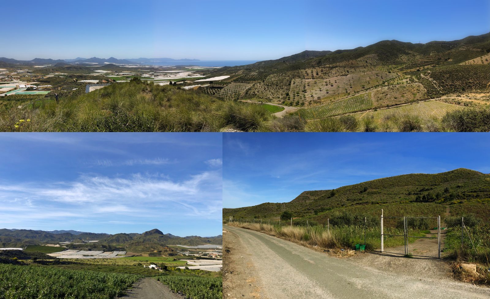 Finca Cabo Cope